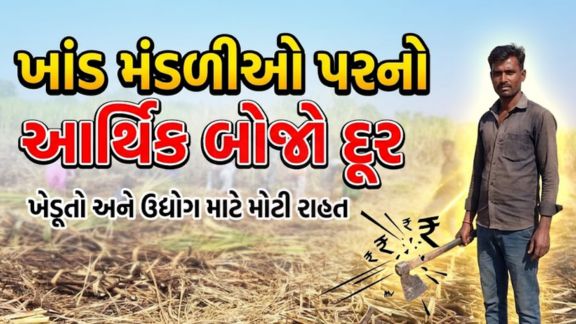 કૃષિ અને સહકાર મંત્રી  જીતુ વાઘાણીએ જણાવ્યું હતું કે, વર્ષ 2007-08થી 2014-15 દરમિયાન ખાંડ (Sugar)મંડળીઓએ શેરડી પકવતા ખેડૂતોને ચૂકવેલા શેરડીના ભાવોને રાજ્ય સરકારે સત્તાવાર મંજૂરી આપી છે