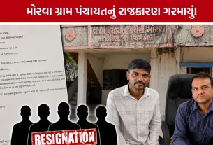 Shehera Taluka News