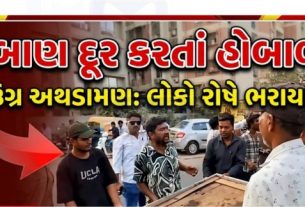 નિકોલ વિસ્તારમાં એસ્ટેટ વિભાગની ટીમ (AMC Team)પર પથ્થરમારાની ઘટના સામે આવતા મામલો ગરમાયો છે.