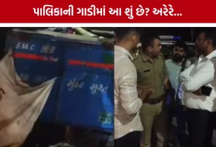 Surat Bhestan SMC Tempo Meat Case