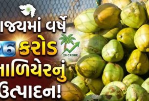 ટેન્ડર કોકોનટ (Tender Coconut)ની વધતી માંગ અને દરિયાકાંઠાના વિસ્તરણને કારણે ગુજરાતે નાળિયેરની ખેતીમાં રેકોર્ડ ઉત્પાદન નોંધાવ્યું છે