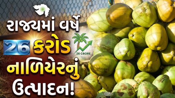 ટેન્ડર કોકોનટ (Tender Coconut)ની વધતી માંગ અને દરિયાકાંઠાના વિસ્તરણને કારણે ગુજરાતે નાળિયેરની ખેતીમાં રેકોર્ડ ઉત્પાદન નોંધાવ્યું છે