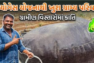 ગુજરાતના નર્મદા જિલ્લામાં રહેતા આદિવાસી પરિવારો માટે બાયોગેસ (Biogas)યોજના આશીર્વાદરૂપ સાબિત થઈ રહી છે