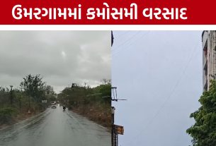 Umargam Rain: ઉમરગામમાં કમોસમી વરસાદ,કેરીના પાક પર સંકટ !