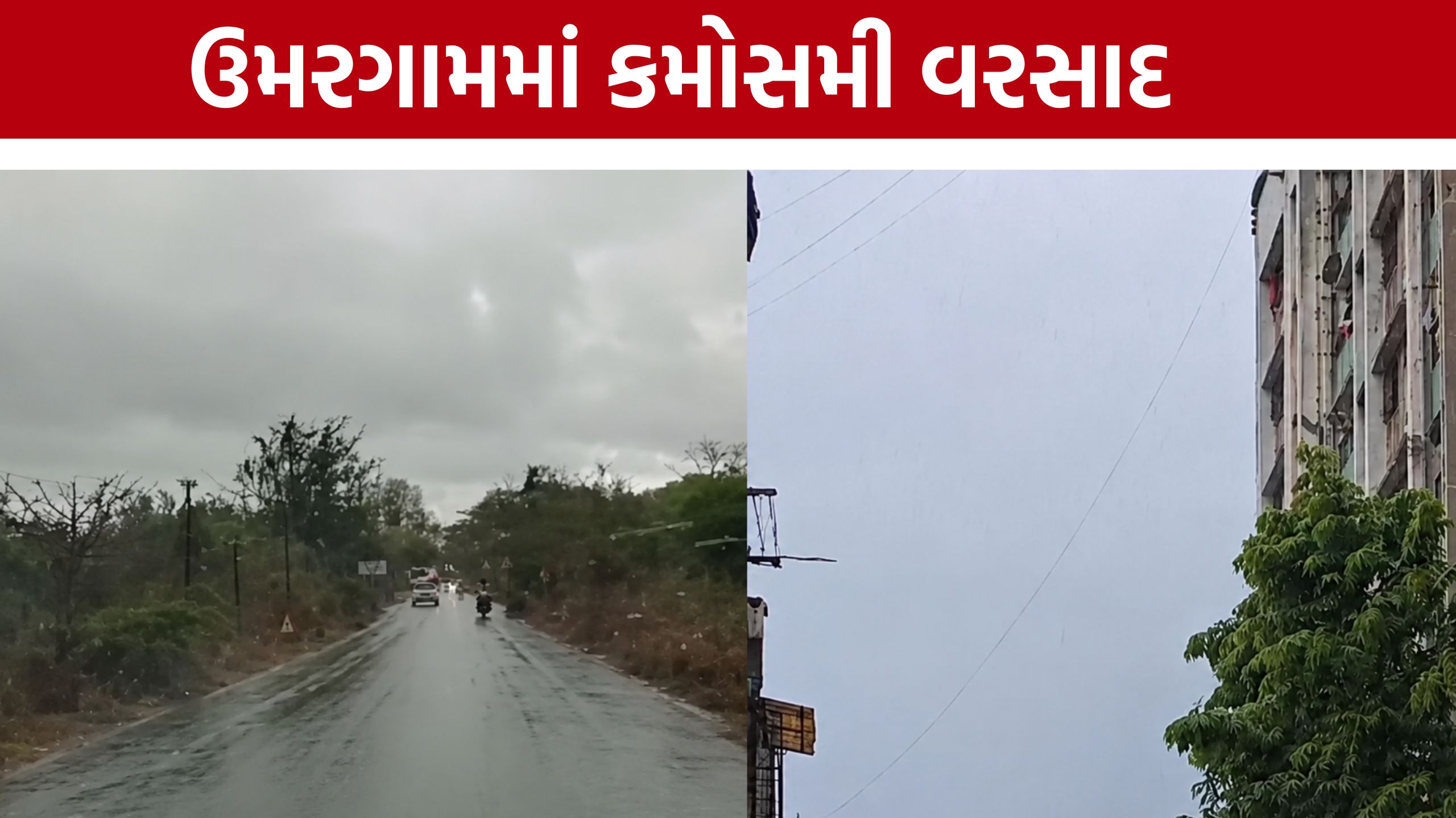 Umargam Rain: ઉમરગામમાં કમોસમી વરસાદ,કેરીના પાક પર સંકટ !