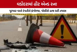 Vadodara Hit and Run News