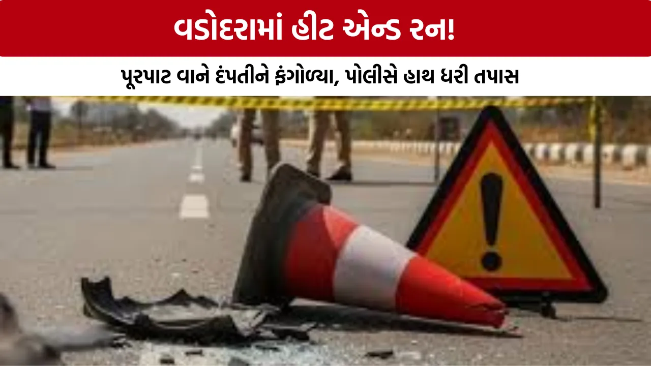 Vadodara Hit and Run News