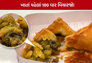 Vadodara Jagdish Farsan Samosa Video