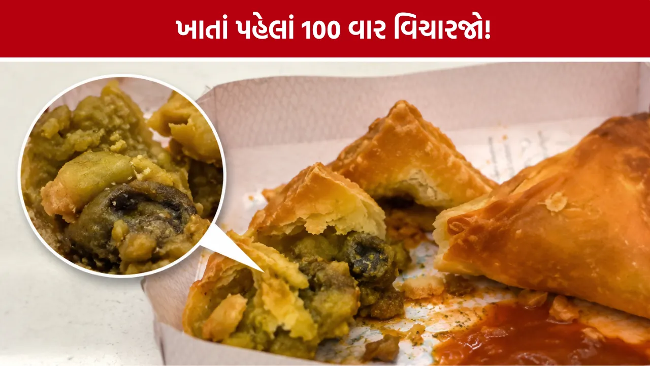 Vadodara Jagdish Farsan Samosa Video