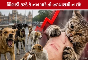 Vadodara SSG Hospital Cat Bite Cases