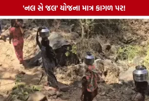 Vansda Water Crisis