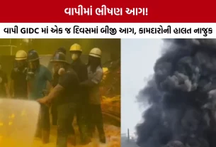Vapi GIDC Fire News