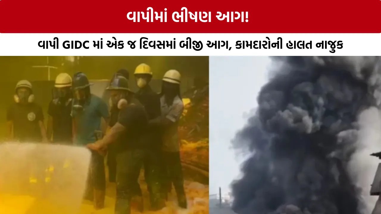 Vapi GIDC Fire News