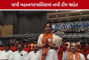 Vapi Mayor News