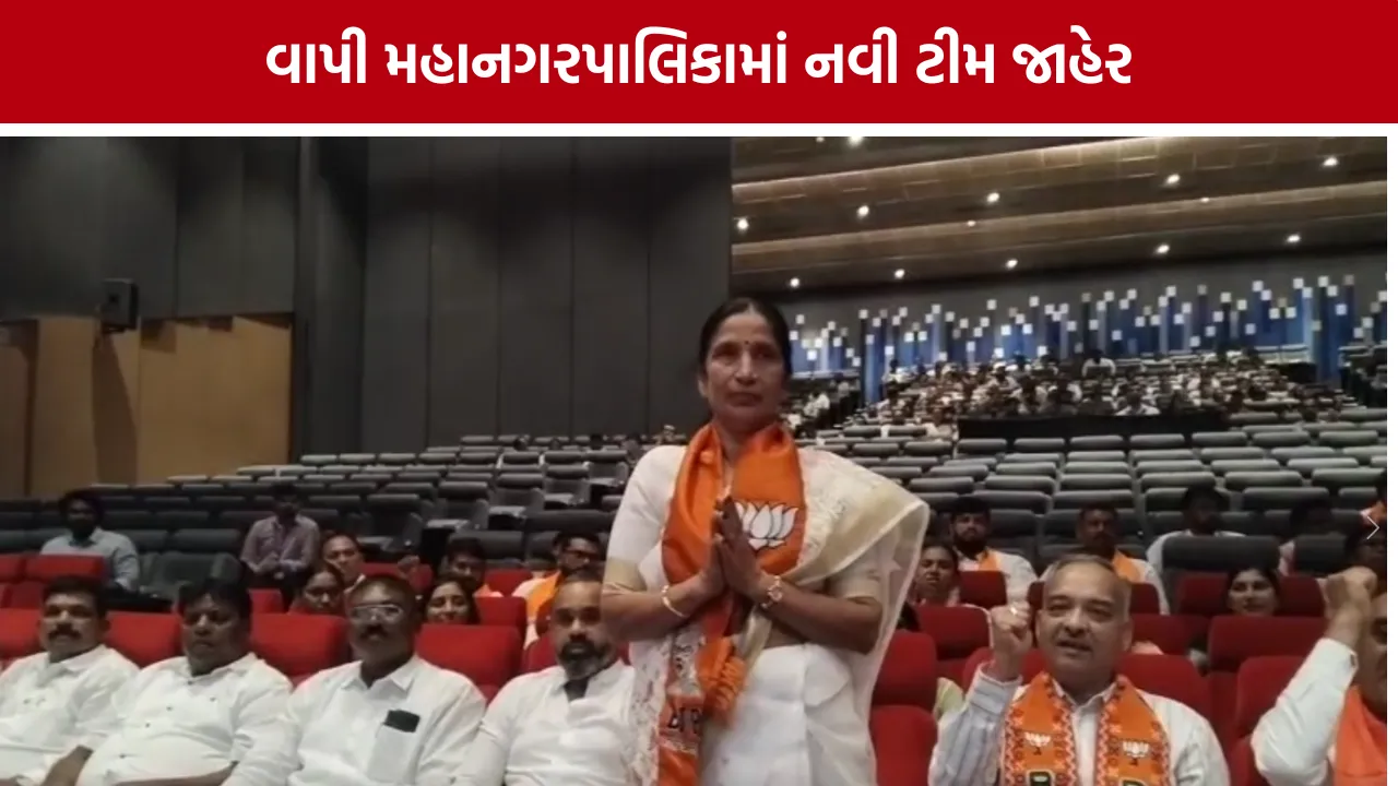 Vapi Mayor News