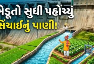 મેગા ડી-સિલ્ટિંગ અભિયાન હેઠળ નદીઓ, નહેરો અને જળાશયોમાંથી રેકોર્ડબ્રેક 22.1 મિલિયન ક્યુબિક મીટર કાંપ દૂર કરવામાં આવ્યો છે.જેને લઈને ગુજરાતમાં જળક્રાંતિ (Water Revolution)થઈ છે.