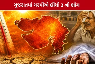 Gujarat Heatwave Death News