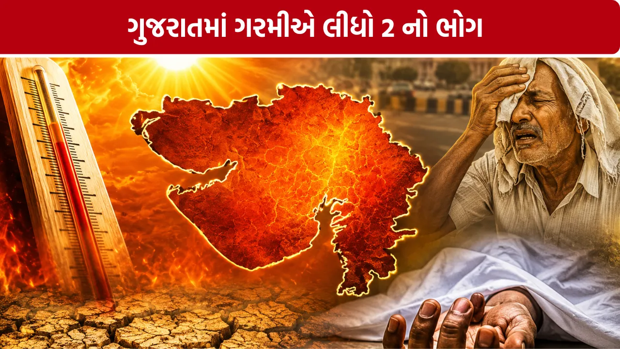 Gujarat Heatwave Death News