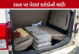 Silver Van Accident Palghar