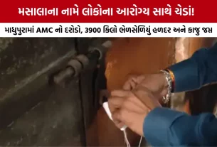 Madhupura AMC Raid