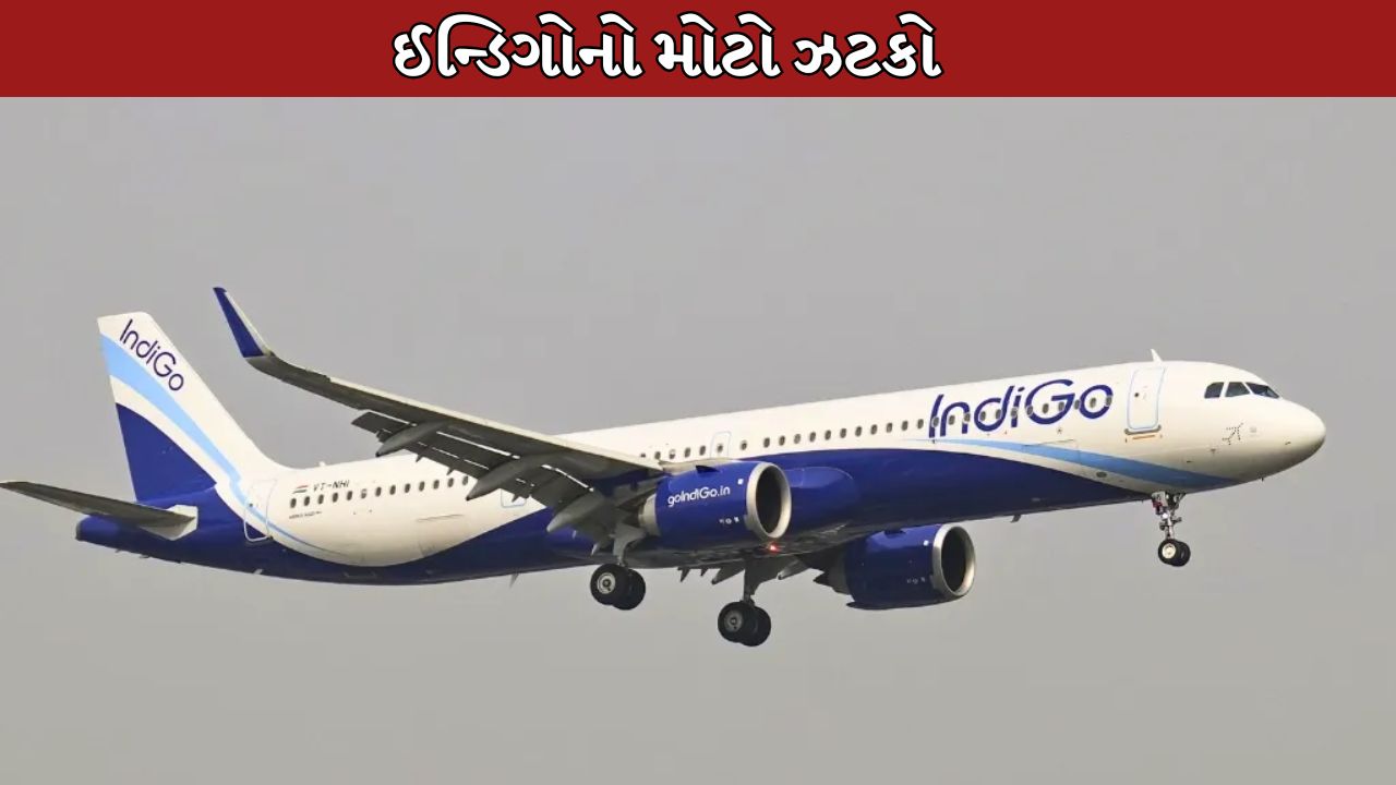 IndiGo