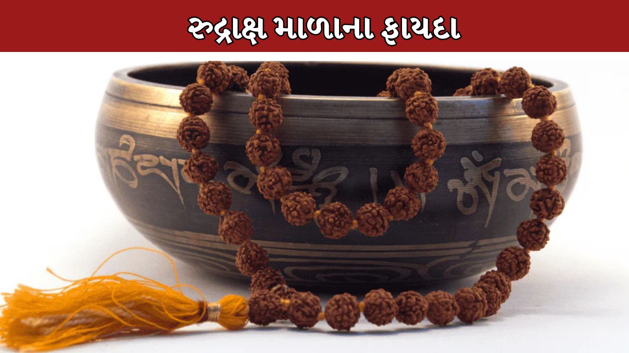 Rudraksha