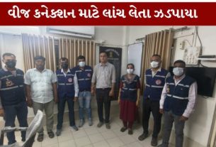 જામનગર જિલ્લામાં ભ્રષ્ટાચાર વિરોધી બ્યુરો (ACB)એ સફળ ટ્રેપ ગોઠવી PGVCLના બે કર્મચારીઓને ₹80 હજારની લાંચ (Bribe) લેતા ઝડપી પાડ્યા છે