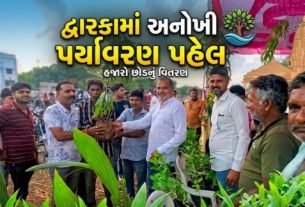 દેવભૂમી દ્વારકા (Dwarka) જિલ્લા કોંગ્રેસ સમિતિના પ્રમુખ પાલભાઈ આંબલિયા (Palabhai Ambliya)ના માર્ગદર્શન હેઠળ “એક વૃક્ષ સ્વર્ગવાસી સ્વજનને નામ” અભિયાન અંતર્ગત મોટી સંખ્યામાં લોકોએ ભાગ લીધો હતો