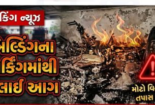 દિલ્હીના તુગલકાબાદ વિસ્તારમાં આવેલી પાંચ માળની રહેણાંક બિલ્ડિંગમાં લાગેલી ભીષણ આગ (Fire)ની ઘટનામાં ત્રણ લોકોના મોત થયા છે