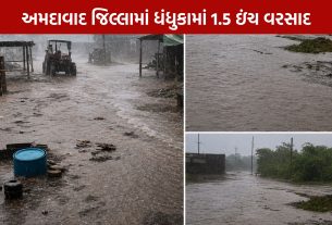 DHANDHUKA