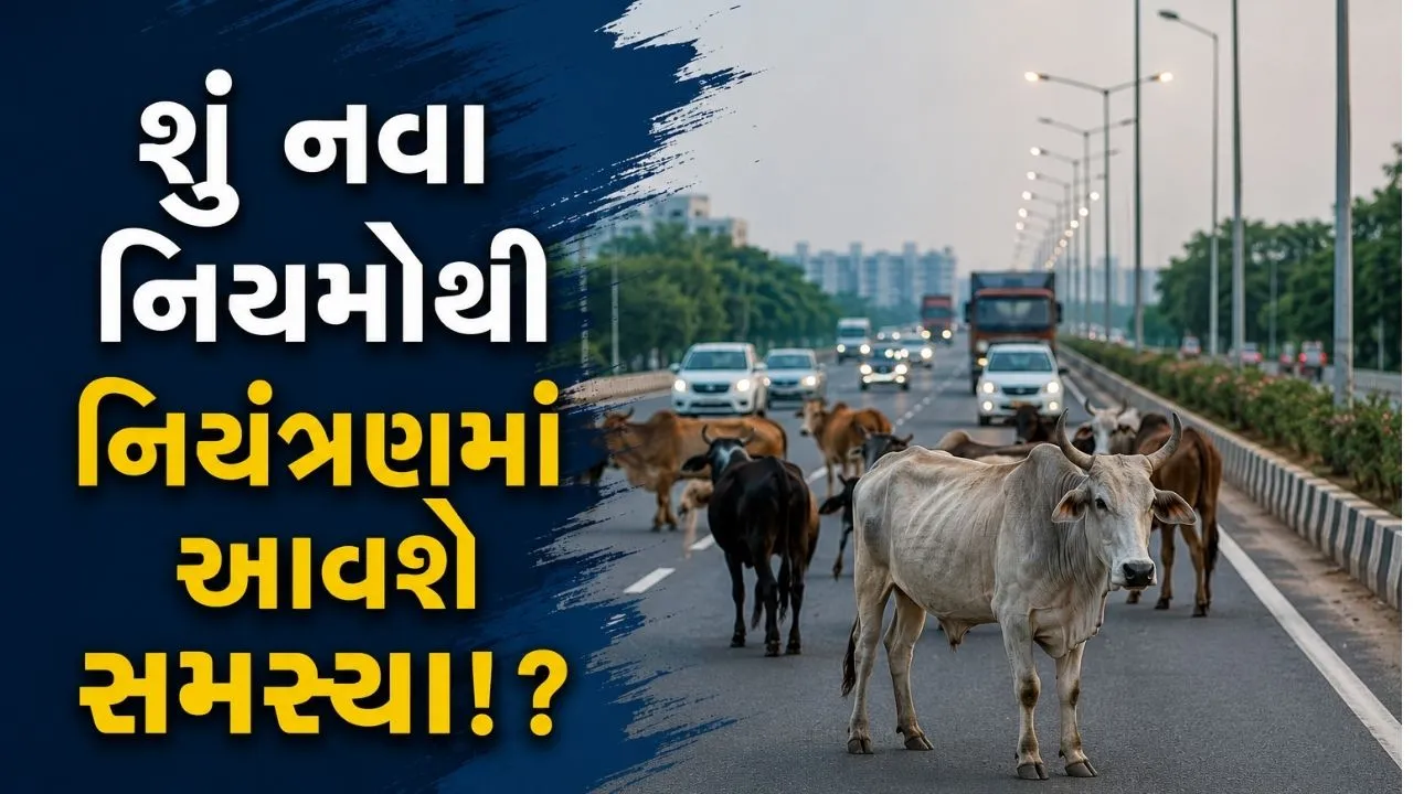 Ahmedabad