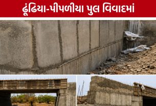 Amreli Bridge Controversy: અમરેલીમાં 50 લાખના પુલના કામમાં ભ્રષ્ટાચારના આક્ષેપ?