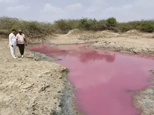 Chemical Dumping Case