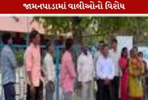 ડાંગના જામનપાડાની Primary schoolને વાલીઓ તાળાબંધી કરી
