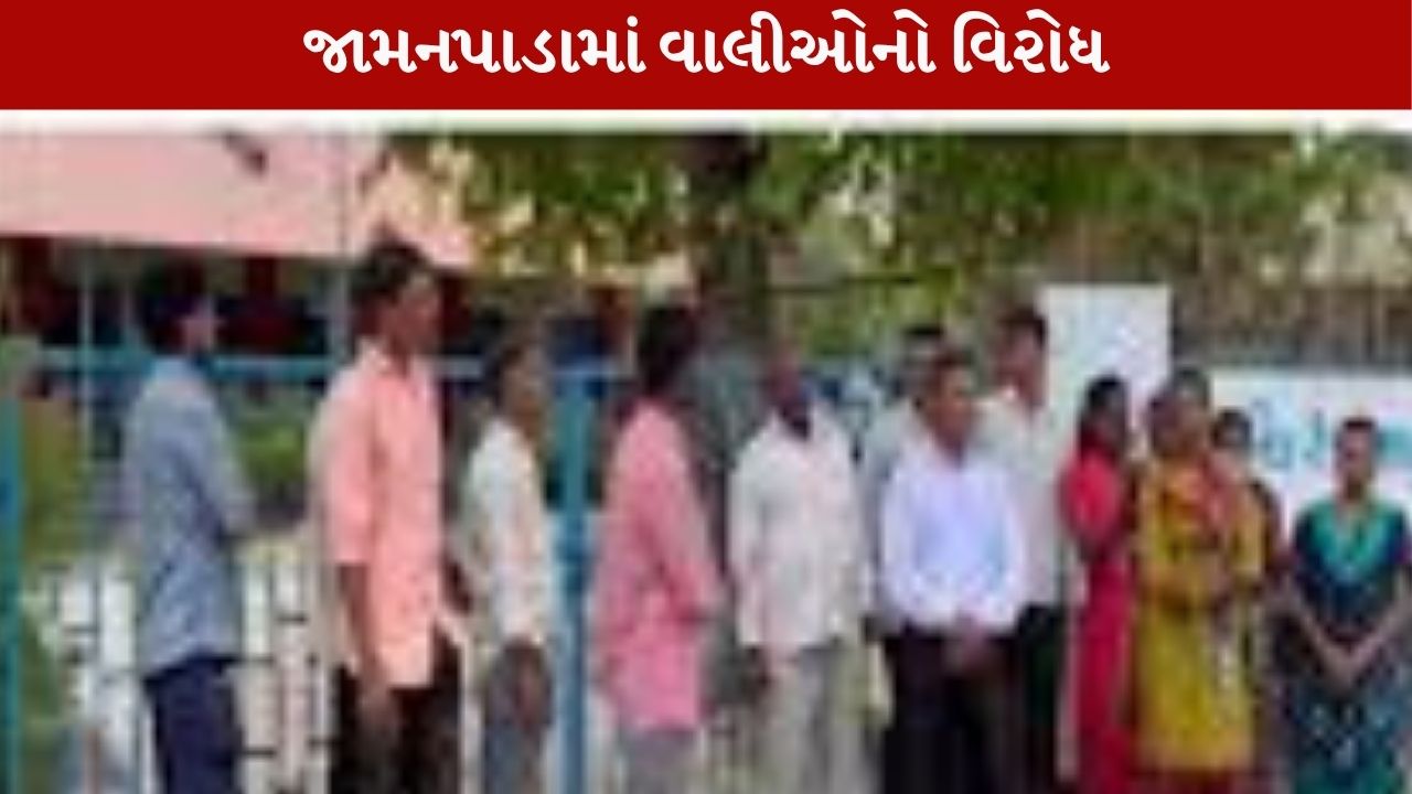 ડાંગના જામનપાડાની Primary schoolને વાલીઓ તાળાબંધી કરી