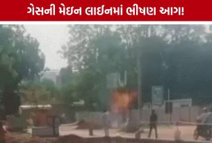 Gandhinagar Gas Fire: કુડાસણ-પોર રોડ પર ગેસ લાઇનમાં આગ, ફાયર વિભાગની બે ગાડીઓ ઘટનાસ્થળે