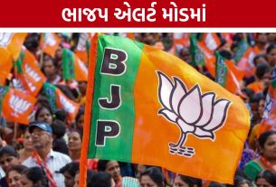 Gujarat Rajya Sabha Election:રાજ્યસભા ચૂંટણીને લઈને ભાજપની માસ્ટરપ્લાનિંગ