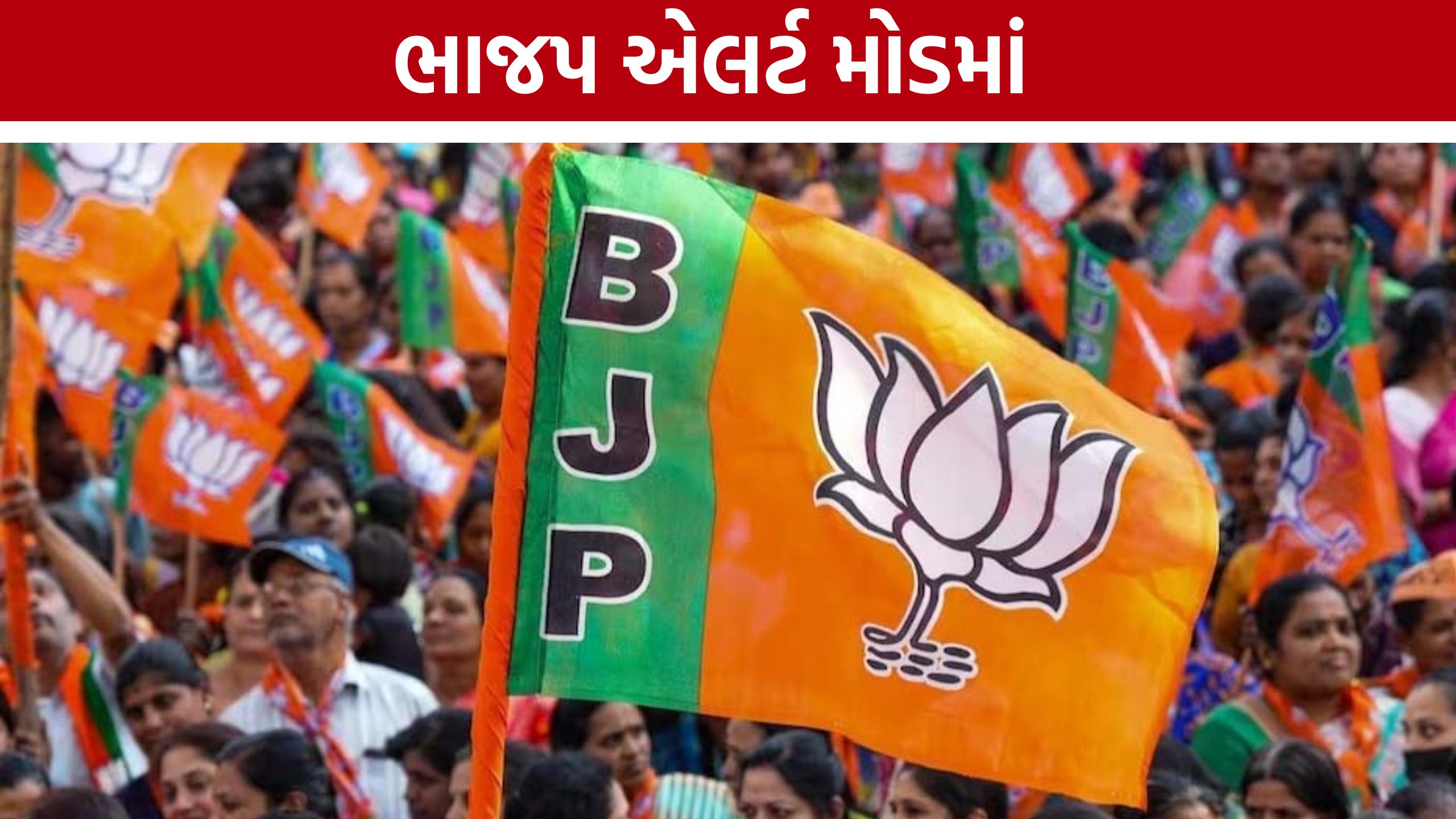 Gujarat Rajya Sabha Election:રાજ્યસભા ચૂંટણીને લઈને ભાજપની માસ્ટરપ્લાનિંગ