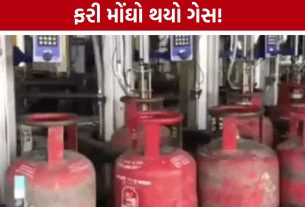 LPG Price Hike 2026:મોંઘવારીનો વધુ એક માર! ઘરેલુ ગેસના ભાવમાં ફરી વધારો