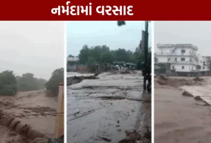Rain: નર્મદાના 5 તાલુકાઓમાંથી માત્ર 1 તાલુકામાં પૂરની સ્થિતિ