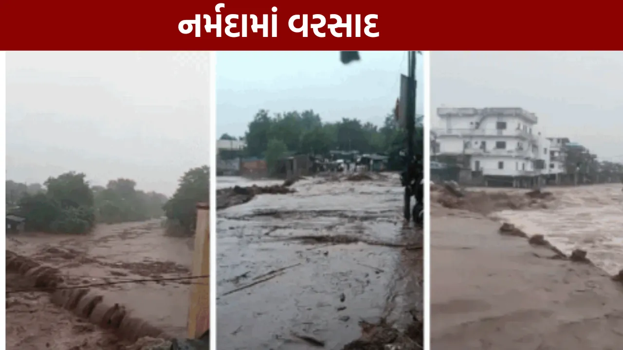 Rain: નર્મદાના 5 તાલુકાઓમાંથી માત્ર 1 તાલુકામાં પૂરની સ્થિતિ