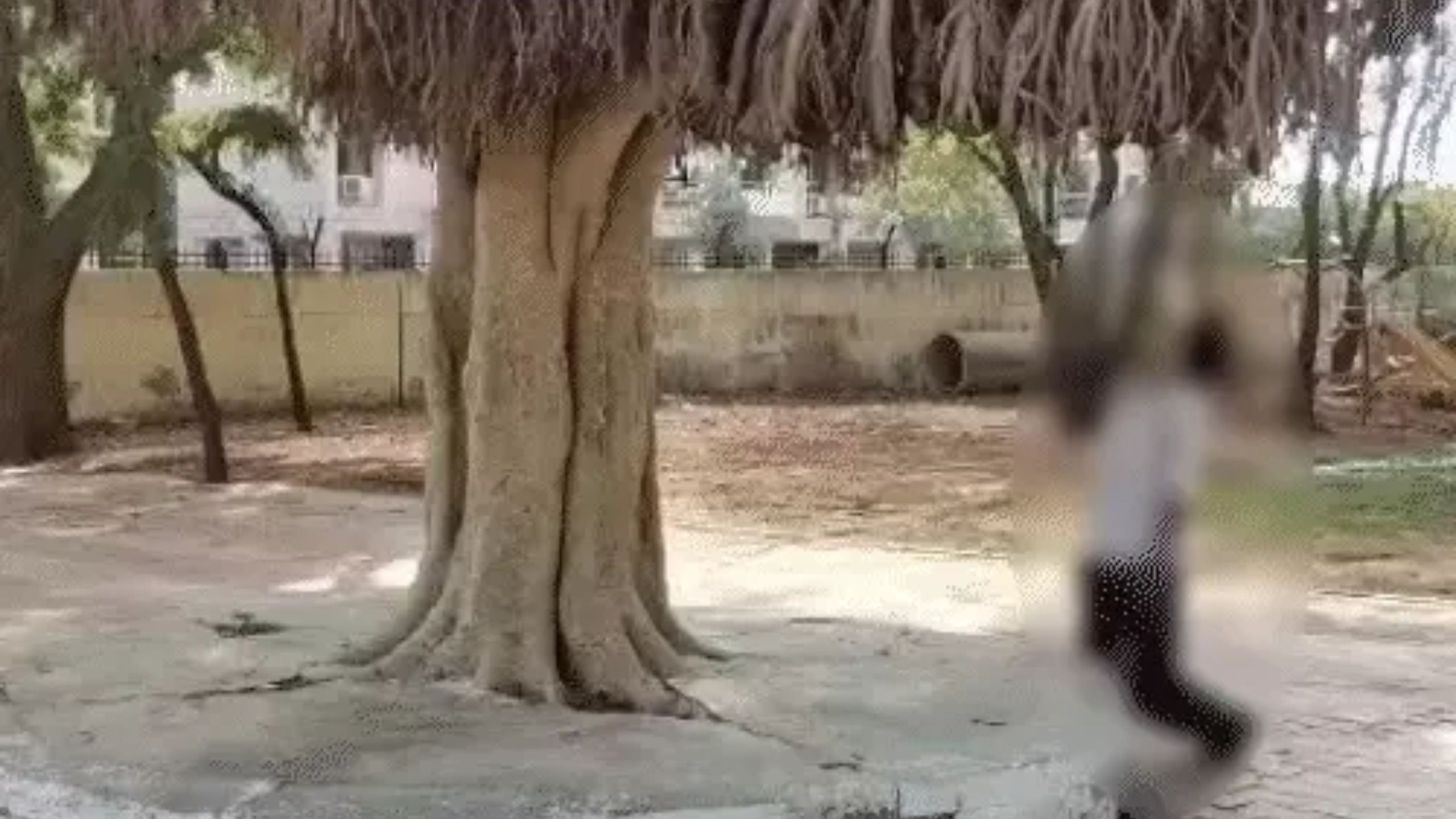 Sector 6 School