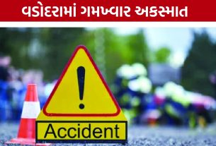 Vadodara Accident: પાદરા નજીક ત્રિપલ અકસ્માતમાં 4ના કમકમાટીભર્યા મોત, 5 ગંભીર