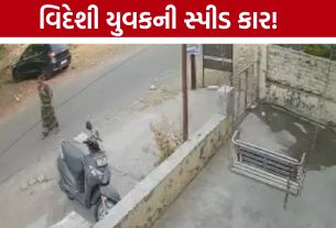Vadodara accident:વિદેશી યુવકો સવાર કારનો અકસ્માત, વૃદ્ધા ફંગોળાતા મોત