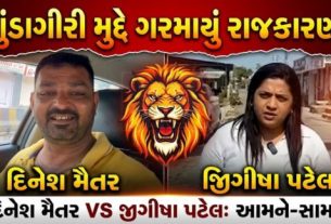 આમ આદમી પાર્ટીના નેતા જિગીષા પટેલે (Jigisha Patel)આણંદપુર ગામની મુલાકાત દરમિયાન ભાજપ સાથે જોડાયેલા નેતા દિનેશ મૈતર (Dinesh Maitar)પર ગંભીર આક્ષેપો કર્યા હતા