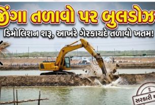 નવસારી જિલ્લાના જલાલપુર તાલુકાના બોરસી માછીવાડ ગામમાં સરકારી જમીન પર બનાવાયેલા કથિત ગેરકાયદે જીંગા તળાવો (Pond)સામે વહીવટી તંત્ર દ્વારા હાથ ધરાયેલી ડિમોલિશનની કાર્યવાહી યથાવત ચાલુ છે