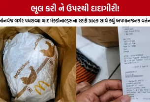 Ahmedabad McDonalds Non Veg Burger