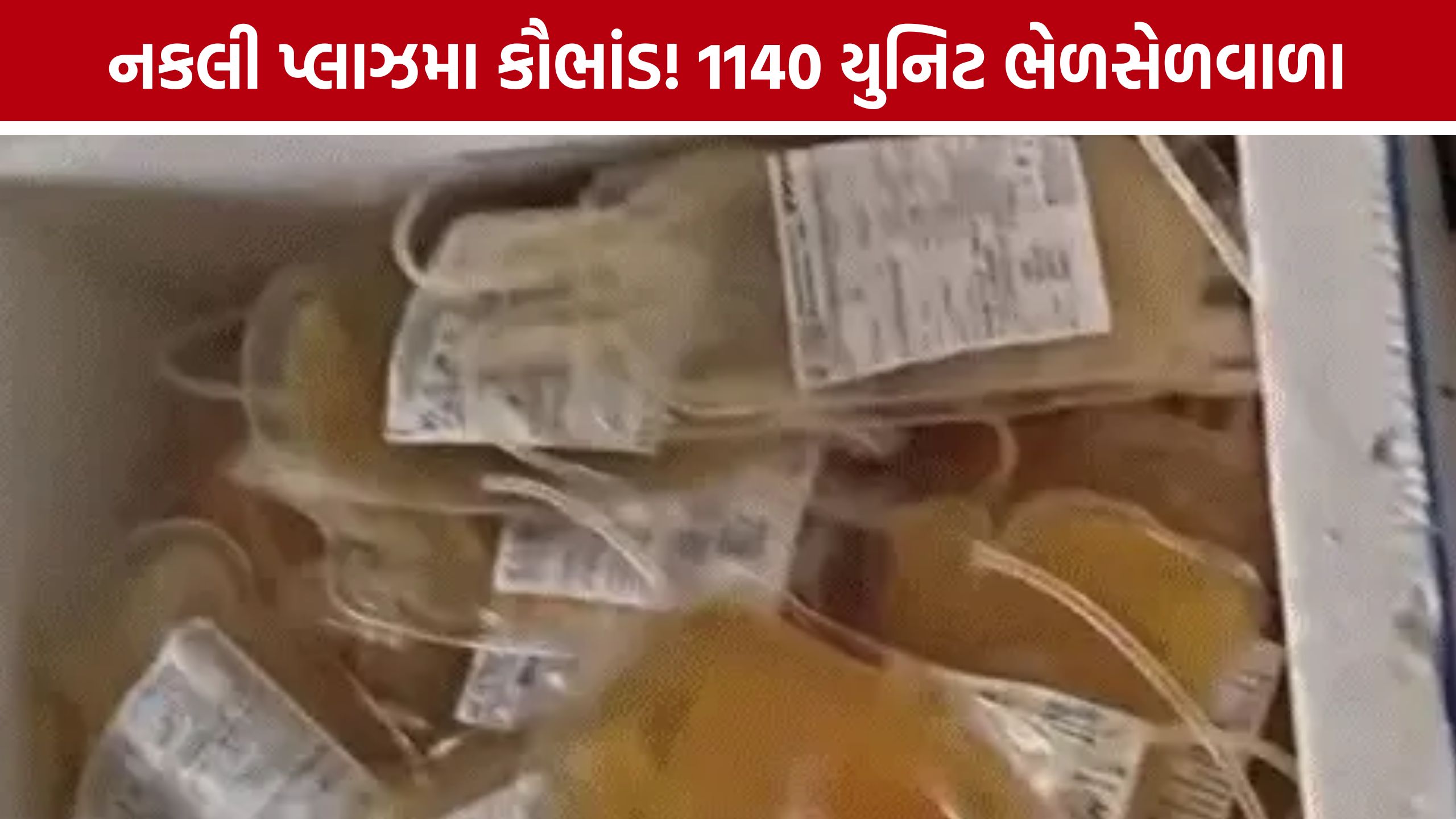 Ahmedabad Fake Plasma: અમદાવાદથી મહારાષ્ટ્ર સુધી ફેલાયેલું નકલી પ્લાઝમા રેકેટ, 8 લેબોરેટરી સાથે સંપર્ક