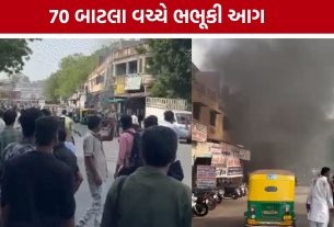 Gas Agency Fire: ગેસ એજન્સીમાં ભભૂકી આગ, 70 જેટલા બાટલા બહાર કાઢાયા