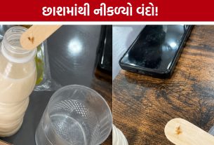 Online Food Order Ahmedabad: છાશમાં વંદો નીકળતા ગ્રાહકનો વીડિયો વાયરલ